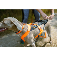 Non-stop dogwear postroj Freemotion 5.0  (oranžový, ružový, modrý, teal)