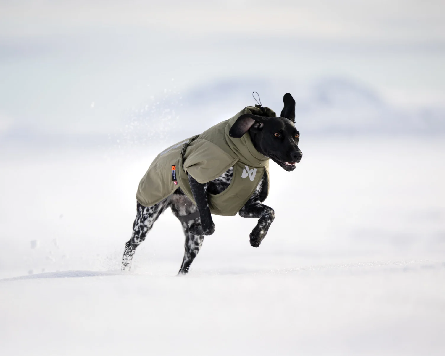 Novinky od Non-stop Dogwear pre jeseň 2026