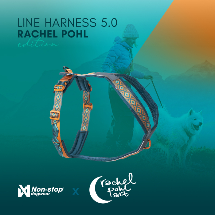 Postroj Line 5.0 Rachel Pohl (Ružový, Teal)
