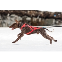 Non-stop dogwear Kombinovaný postroj
