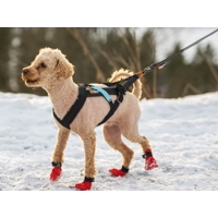 Non-stop dogwear Postroj FREE MOTION