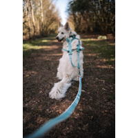 Non-stop dogwear Vôdzka s amortizérom 2,8m (na bicykel, kolobežku, lyže)