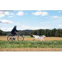 Non-stop dogwear Vôdzka s amortizérom 2,8m (na bicykel, kolobežku, lyže)