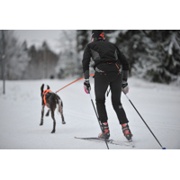 Non-stop dogwear Opasok Loype pro (ideálny pre zimné športy)