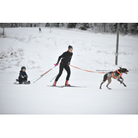 Non-stop dogwear Opasok Loype pro (ideálny pre zimné športy)