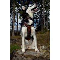 Non-stop dogwear Postroj Rock