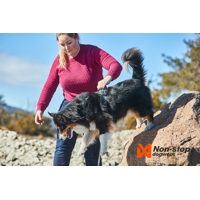 Non-stop dogwear Postroj Ramble (Fialový, zelený, čierno-oranžový)