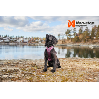 Non-stop dogwear Postroj Ramble (Fialový, zelený, čierno-oranžový)