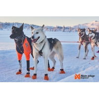 Non-stop dogwear Saňový postroj „Nansen Nome 5.0“
