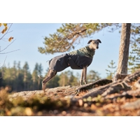 Non-stop dogwear Kabátik Glacier Wool 2.0 (modrý, zelený)