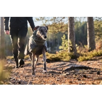 Non-stop dogwear Kabátik Glacier Wool 2.0 (modrý, zelený)