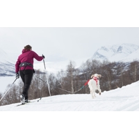Non-stop dogwear Opasok Trekking (Modrý alebo fialový)