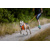 Non-stop dogwear postroj Freemotion 5.0  (oranžový, ružový, modrý)
