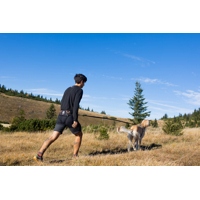 Non-stop dogwear Opasok Trekking 2.0