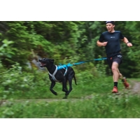 Non-stop dogwear Vôdzka s amortizérom 2,8m limitovaná edícia modrá (na bicykel, kolobežku, lyže)