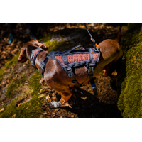 Non-stop dogwear Postroj Rock Long