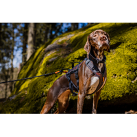 Non-stop dogwear Vodzka Rock leash