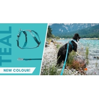 Non-stop dogwear Postroj LINE 5.0 (oranžový, fialový, modrý, čierny, zelený, teal)