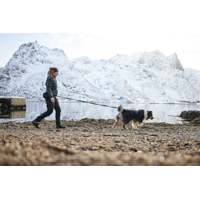 Non-stop dogwear Trail light belt