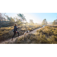 Non-stop dogwear Trail light belt