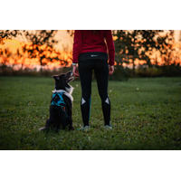 Non-stop dogwear opasok Rush