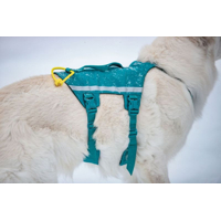 Non-stop dogwear postroj Ramble long teal
