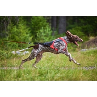 Non-stop dogwear postroj Freemotion 5.0 (oranžový, ružový, modrý, teal, aqua)