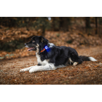 Bezpečnostné svetielko Lumi dog