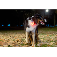 Bezpečnostné svetielko Lumi dog