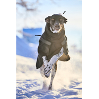 Non-stop dogwear kabátik Trekking insulated