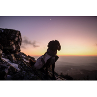 Non-stop dogwear Kabátik Glacier 3.0 (šedý, zelený)