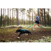 Non-stop dogwear Canix belt 2.0 aqua