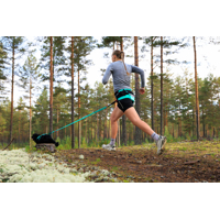 Non-stop dogwear Canix belt 2.0 aqua