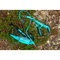 Non-stop dogwear Canix belt 2.0 aqua