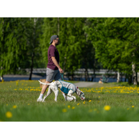 Non-stop dogwear chladiaca vesta  Cooling pull-on