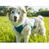 Non-stop dogwear chladiaca vesta  Cooling pull-on