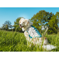Non-stop dogwear chladiaca vesta  Cooling pull-on