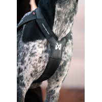 Non-stop dogwear postroj Freemotion pro