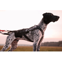 Non-stop dogwear postroj Freemotion pro