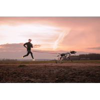 Non-stop dogwear postroj Freemotion pro