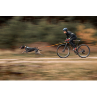 Non-stop dogwear postroj Freemotion pro