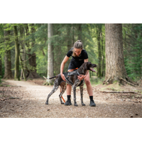 Non-stop dogwear postroj Freemotion pro