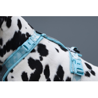 Non-stop dogwear postroj Trekking line Clip'n