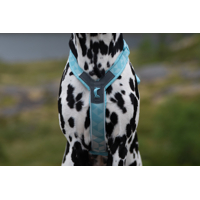 Non-stop dogwear postroj Trekking line Clip'n