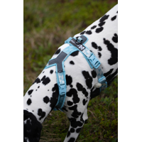 Non-stop dogwear postroj Trekking line Clip'n