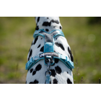 Non-stop dogwear postroj Trekking line Clip'n